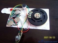 供應發聲集成電路與聲音模塊——電子元器件領域的創新之聲